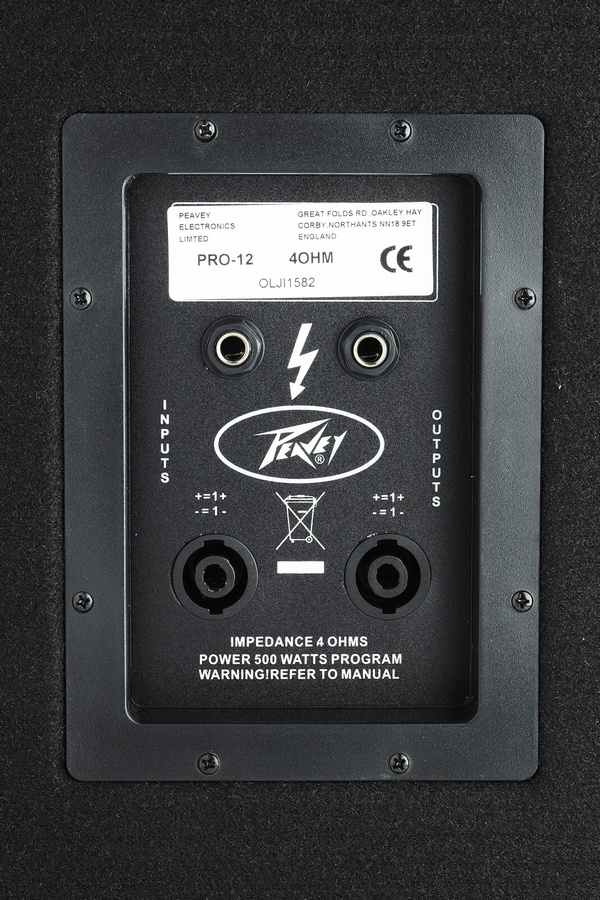 Peavey pro cheap 15 speakers